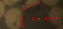 Угол