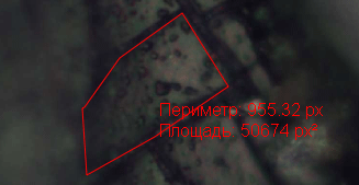 Многоугольник