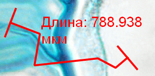 Ломаная