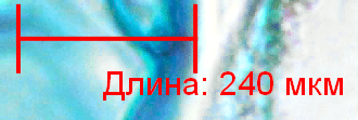 Отрезок